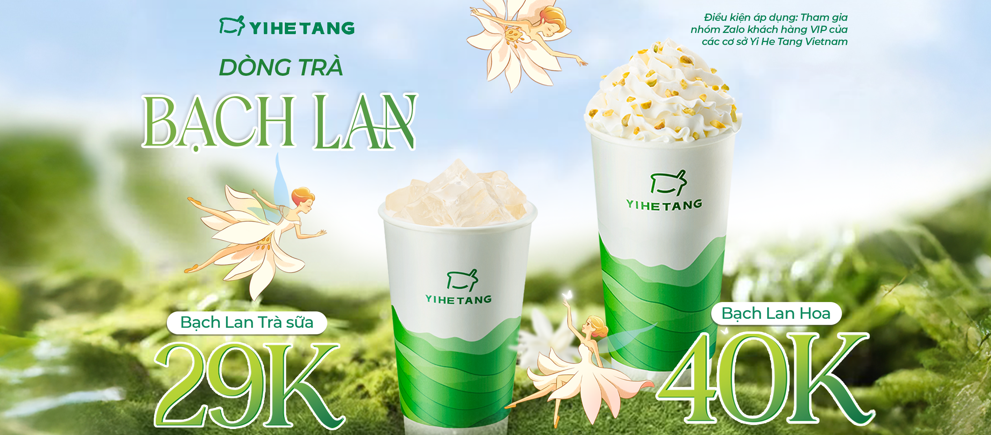 cover dòng trà bạch lan