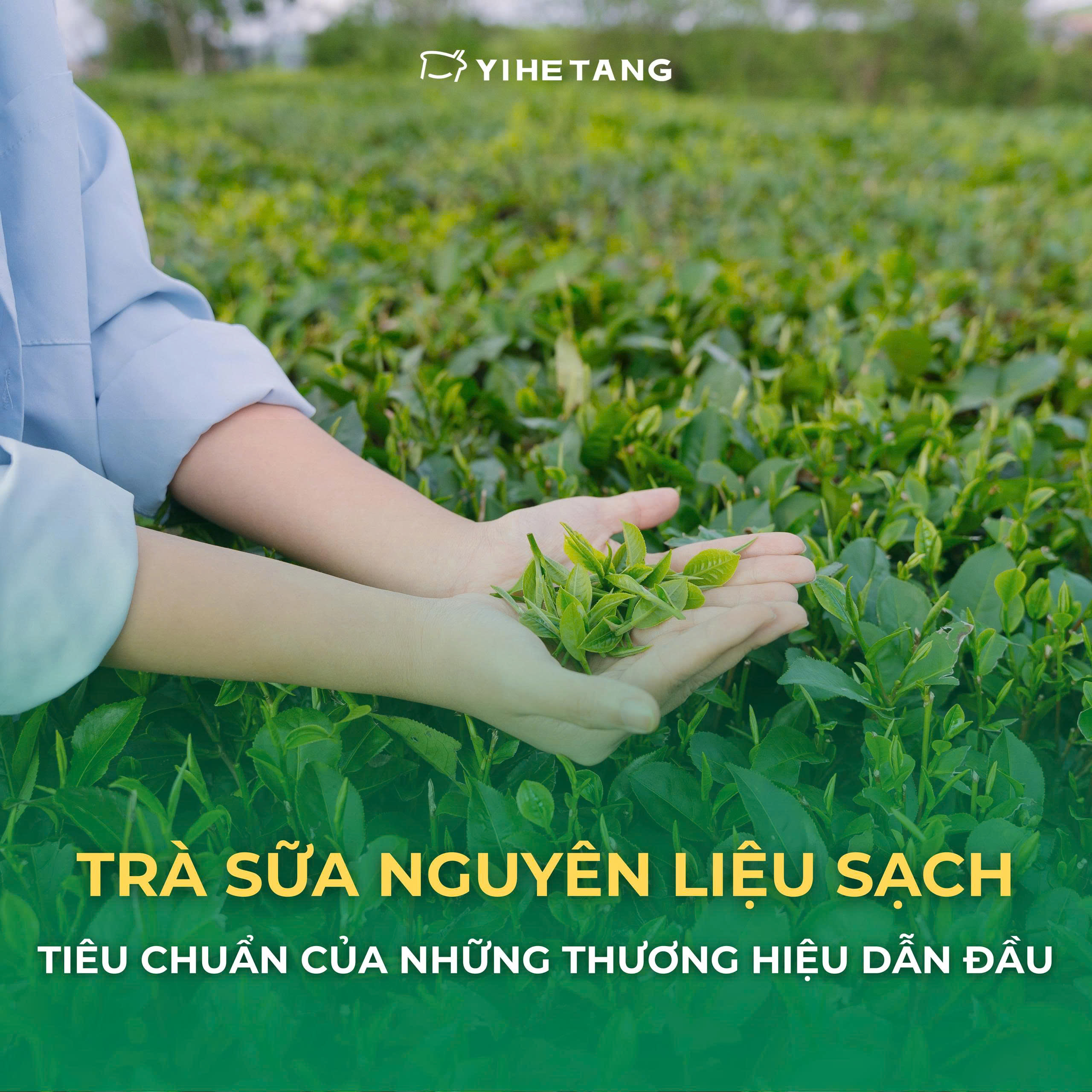tra-sua-nguyen-lieu-sach